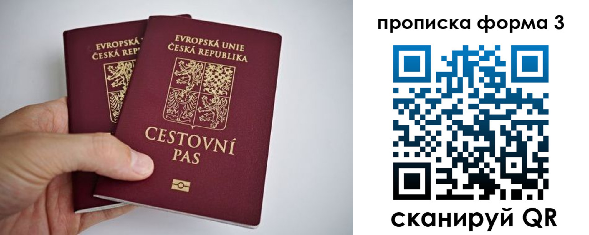 регистрация для школы в Кировграде